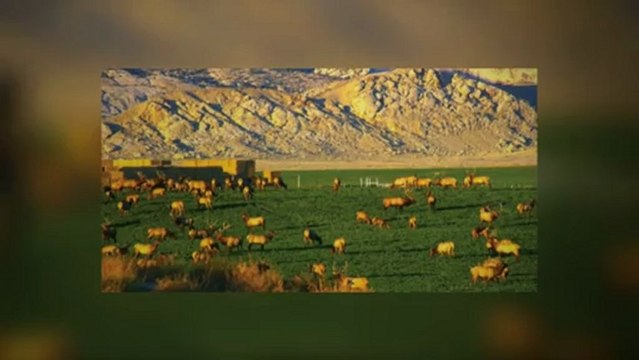 ranches for sale in colorado