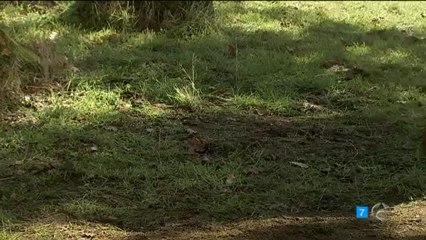 MARTIN MARIA NO DEJES INFLUENCIARTE POR NADIE ESDPV 26-12-2012