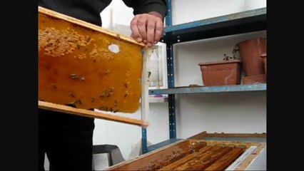 2012 son koloni kontrolü