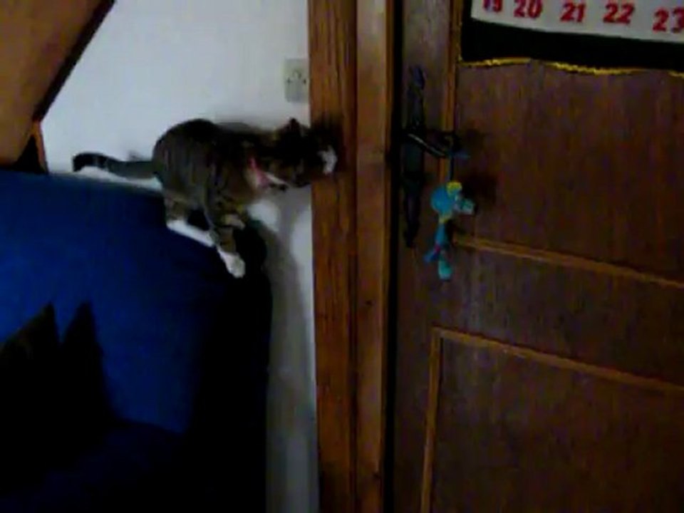 diva