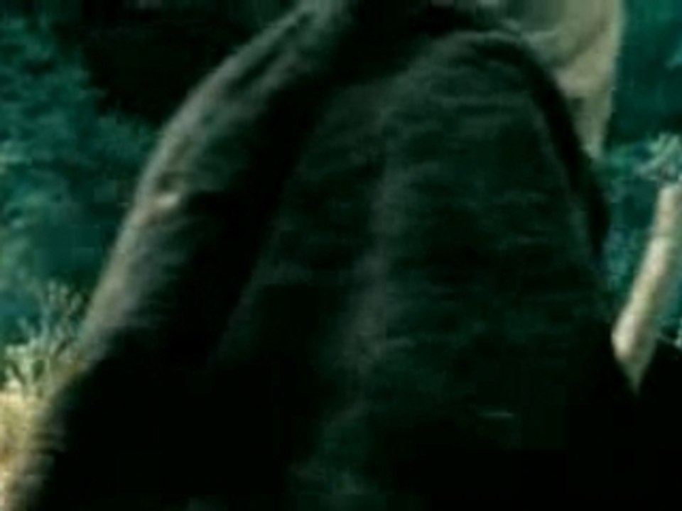 Sting - The Mighty