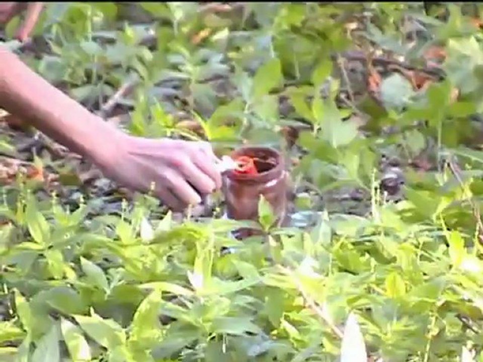 Qui veut la pot de Natellu? Bêtisier et Making off