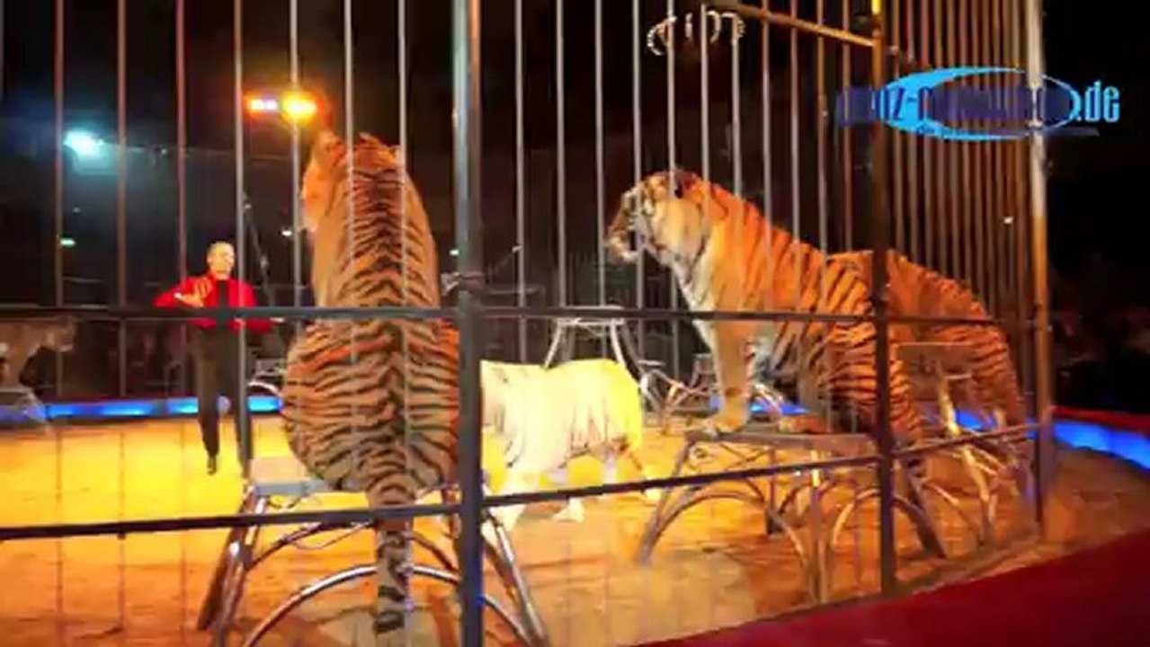 Circus Krone 2013: Premiere 1. Winterspielzeit am 25.12.2012