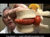 What is a Herniated Disc Video | Raleigh | Back Pain | Neck Pain