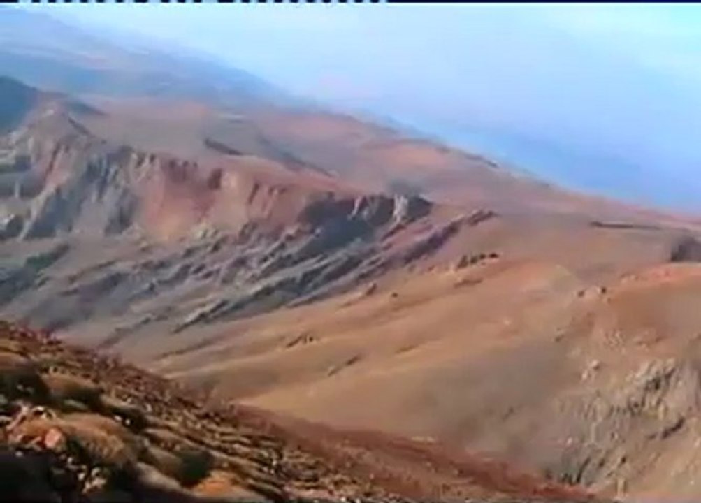 İlhan Gökçü      "Divriği / Sivas Yaban keçileri "