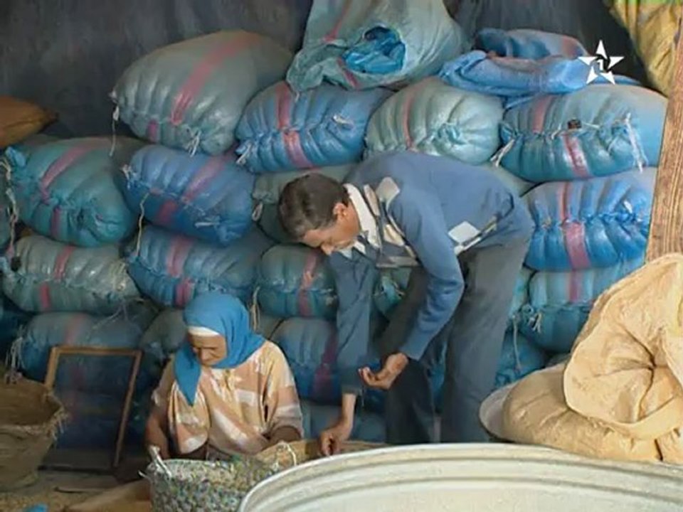 Maw3id Ma3a Lmajhoul E16