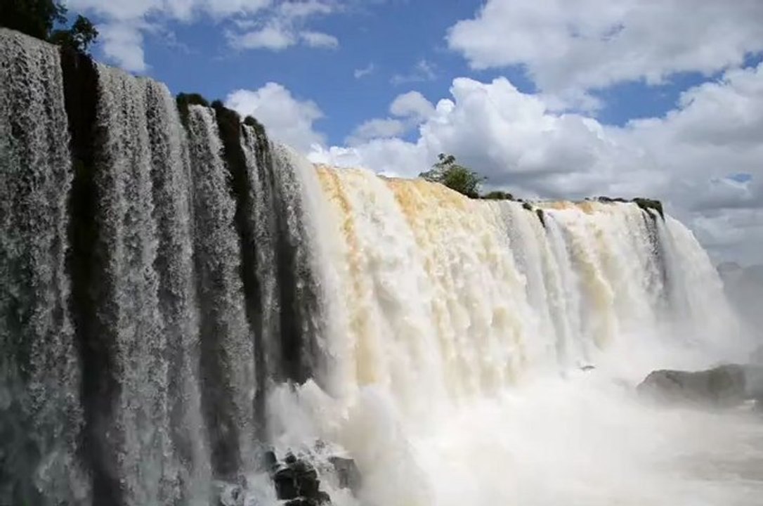 Iguazubis