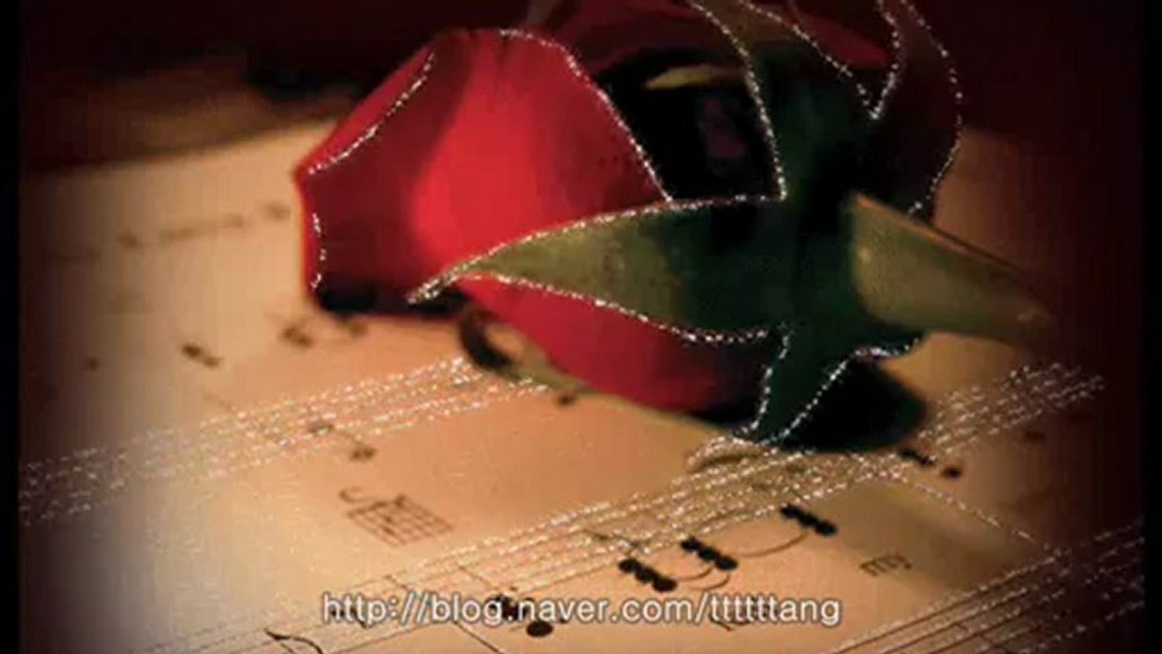 [이문세 가로수그늘아래서면2013년happy new year새해새해인사2012년송년인사]2012,2013new year guitar video merry christmas and happy new year guitar code