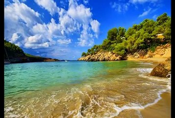 Фокус Группа - Урок 18