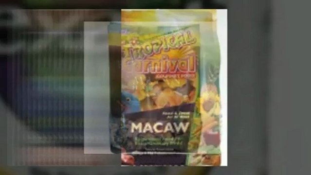 Buy Pet Bird Supplies, Bird Products and Accessories from PetShopsOnline