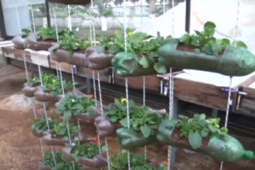 Pet şişeler saksıya dönüşüyor