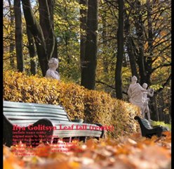 Ilya Golitsyn Leaf fall remix