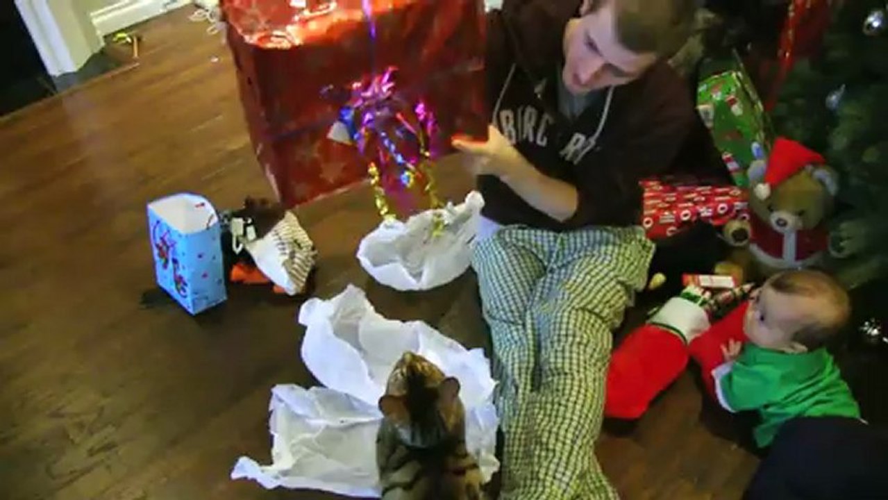 Christmas Morning with Rumble the Bengal Cat Linus Cat Tips