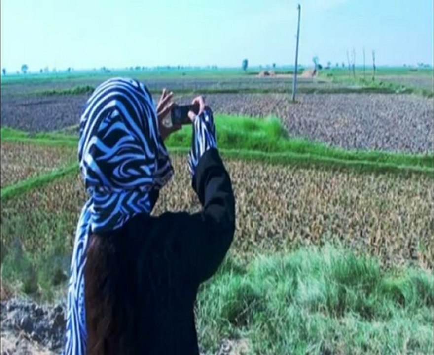 DADU