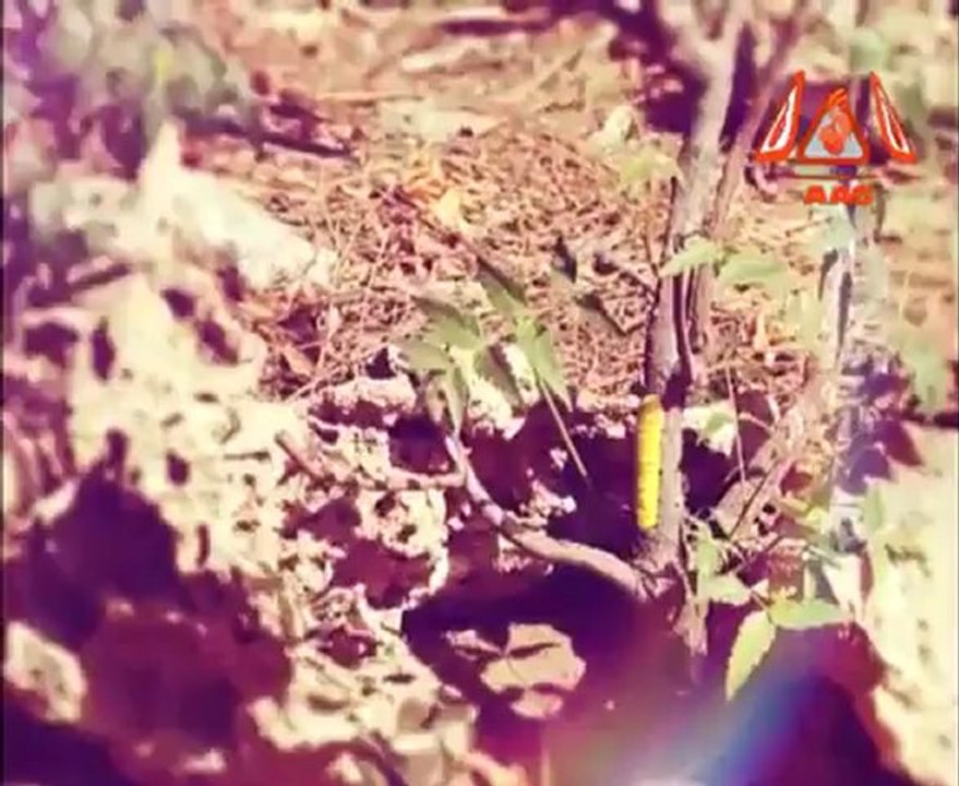 Never Give Up Id.mp4