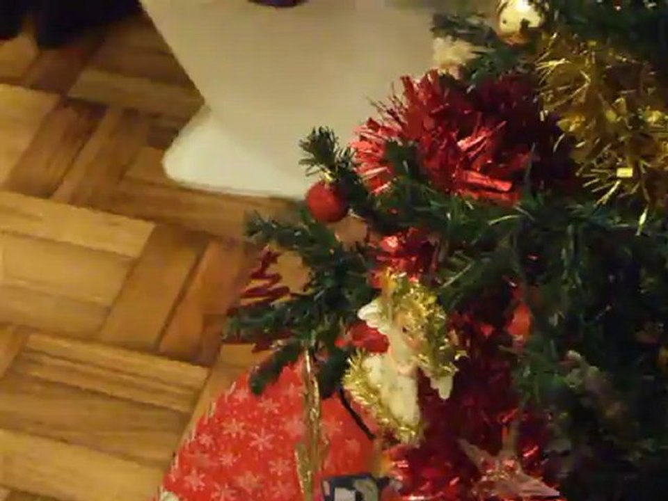 chiousa, mon chaton qui joue avec le sapin
