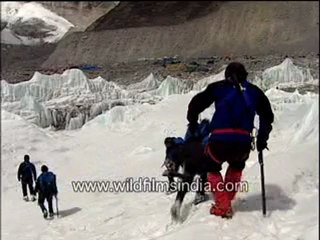 Journey towards everest-MPEG-4 800Kbps.mp4