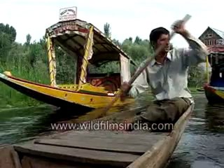 Kashmiri shikara-MPEG-4 800Kbps.mp4