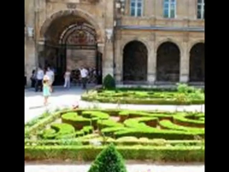 Tips For Gardening