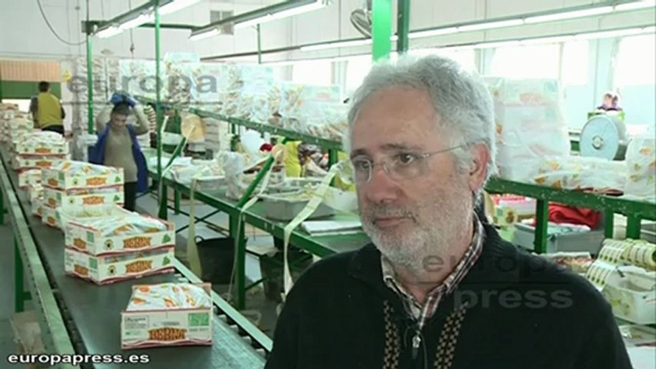 La uva de Vinalopó lista para Nochevieja