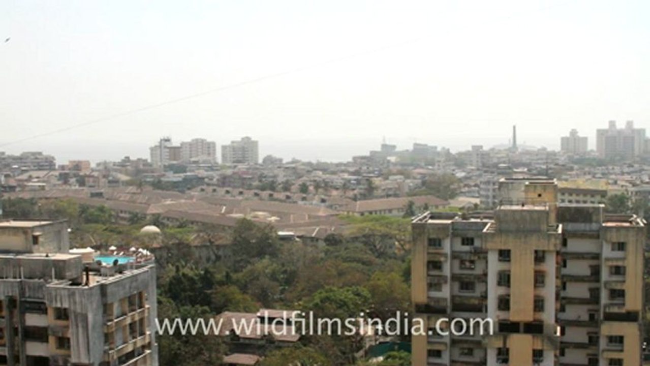 Mumbai-24.mov