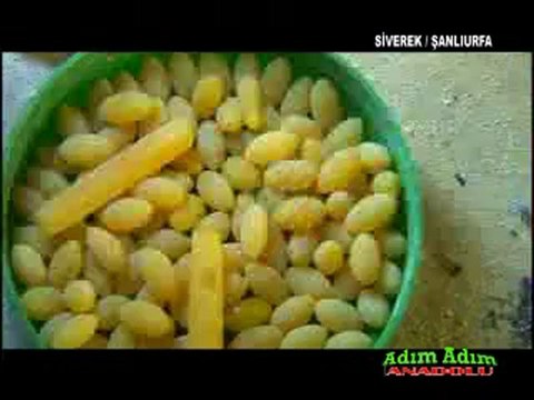 siverek 2012 son programı