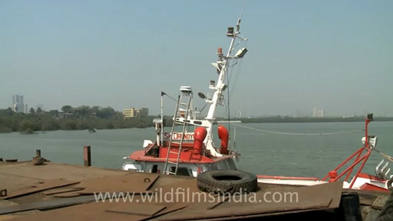 Mumbai-port-7.mov