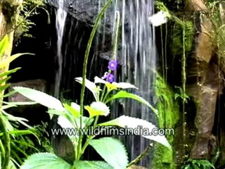 Nature at its best-MPEG-4 800Kbps.mp4