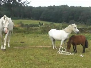 Uschiz, Lou et Léon