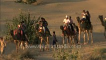 Rajasthan-Sam dunes-HDC-8 camel.mov