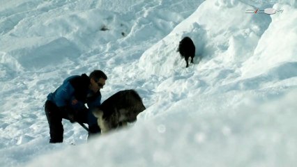 Les activités des CRS de haute montagne