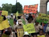 Save the tiger-delhi-schools-6.mov