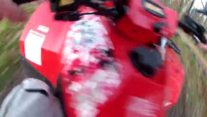 poupouce quad dec 2012