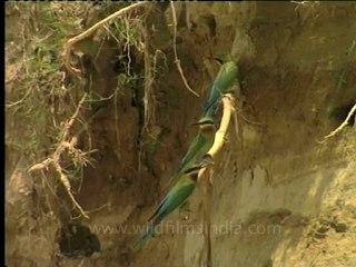 Shivalik monsoon-14.mov