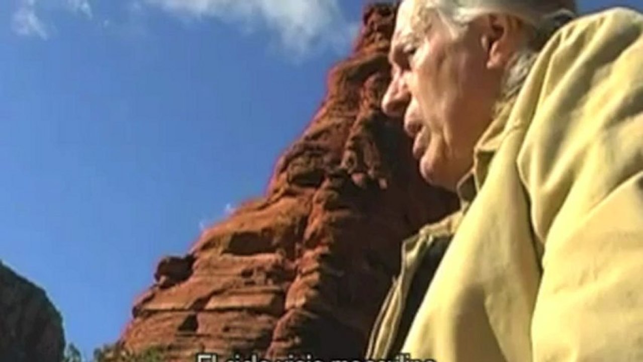 Drunvalo - Conclusion - What does it all mean?