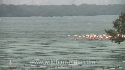 Time lapse-mumbai-3.mov