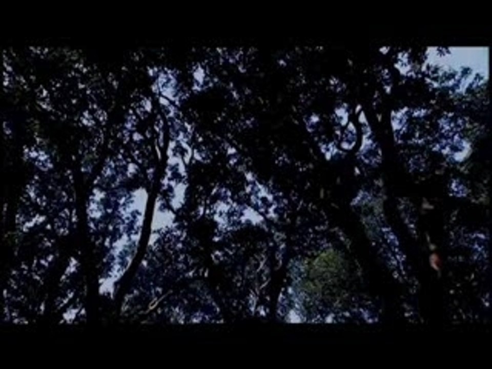 La Vie de Bouddha