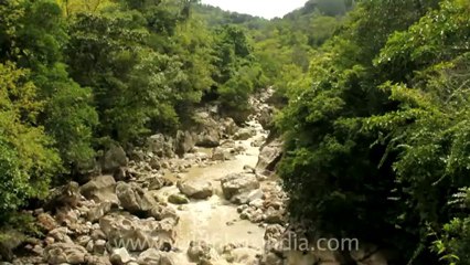 Timor-Wildlife-Landscape-12.mov