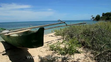 Timor-Wildlife-Landscape-2.mov