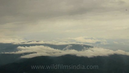 Timor-Wildlife-Landscape-5.mov