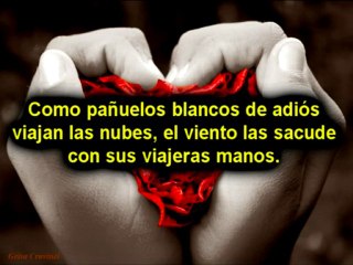 Poemas de amor cortos www.cartasdeamor.me