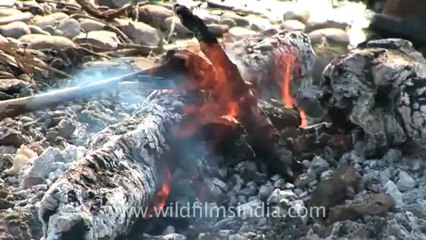 aghori-haridwar-hdv-4-4.mov