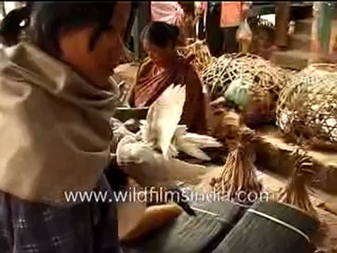 bards saleing open market in nagaland-MPEG-4 300Kbps.mp4