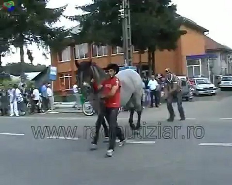 KO_cabalin bonno van der putten
