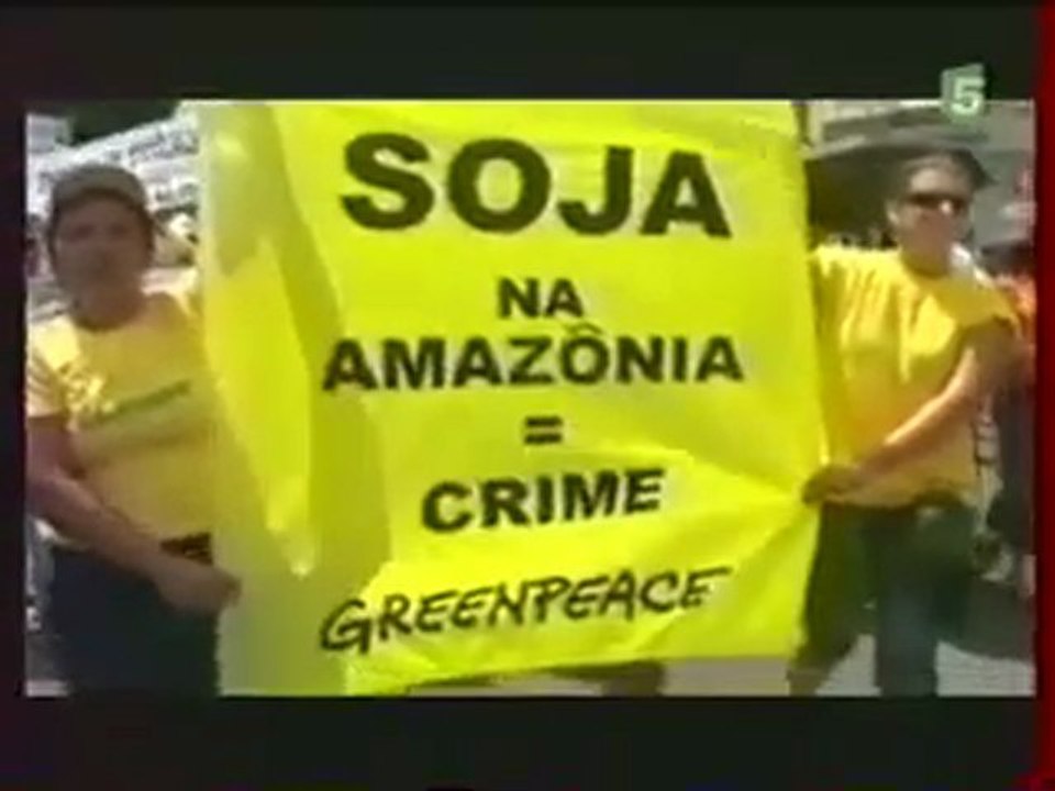 Déforestation de l'Amazonie pour la Culture du Soja 3/3