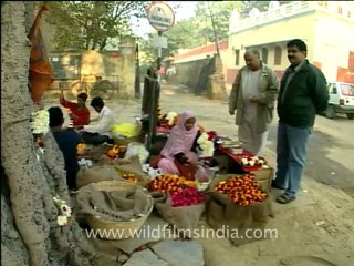 birla temple -delhi.mov