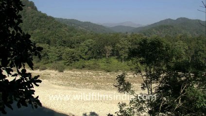 corbett-hdc-58-11.mov