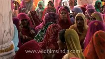 2612.Women singing bhajan at Nana village, Rajasthan.mov