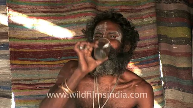 2632.Aghori Baba, Haridwar.mov