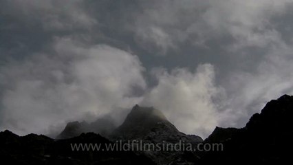 gammukh treak-hdv-190-2.mov